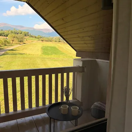 Polonyna View Holiday home *