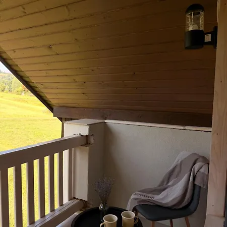 Polonyna View Holiday home *